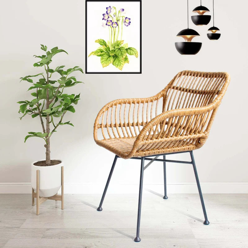 Modern Rattan Dining Chairs - Designer Kitchen Furniture